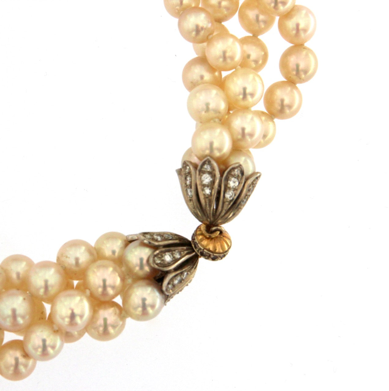 Collana perle Akoya Giappone